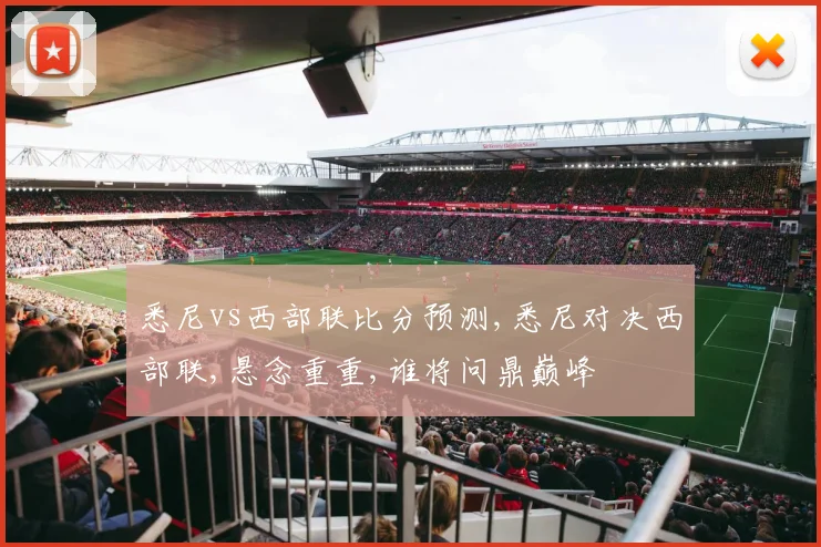 悉尼vs西部联比分预测,悉尼对决西部联,悬念重重,谁将问鼎巅峰