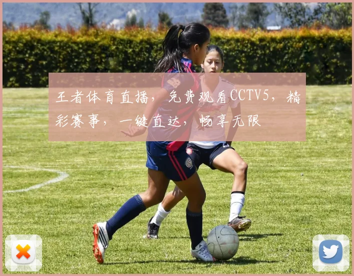 王者体育直播，免费观看CCTV5，精彩赛事，一键直达，畅享无限
